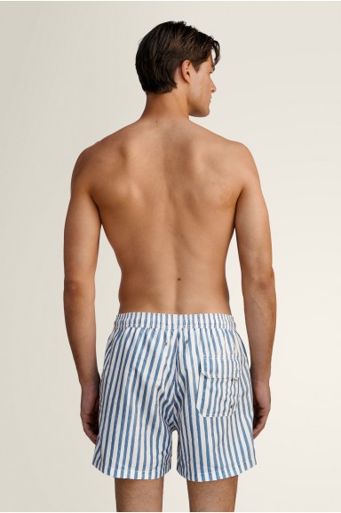 Steel Stripes Swim Short | Robin Collection