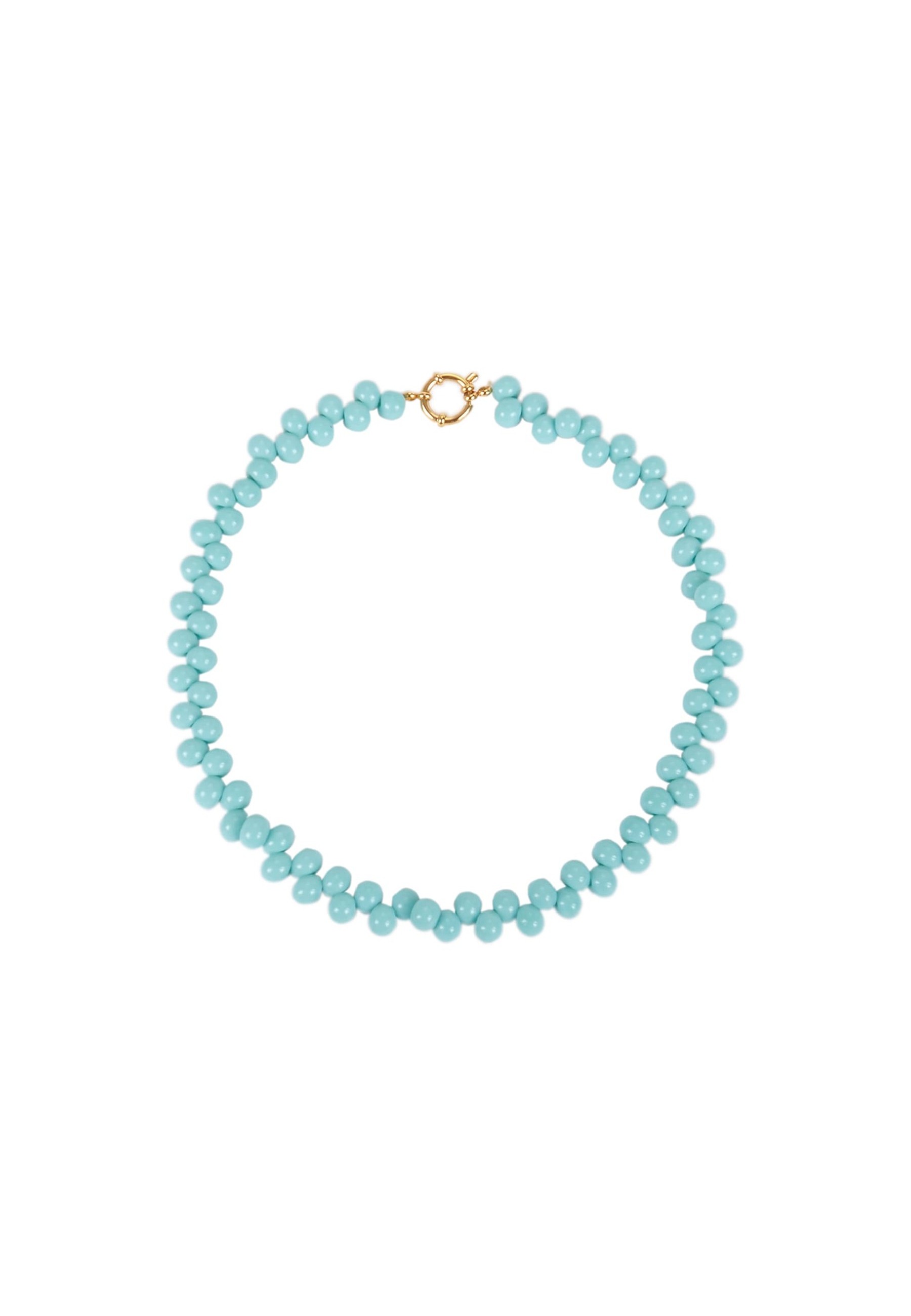 Collar Bluebird|Robin Collection